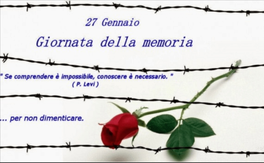 Screenshot 20230127 100346