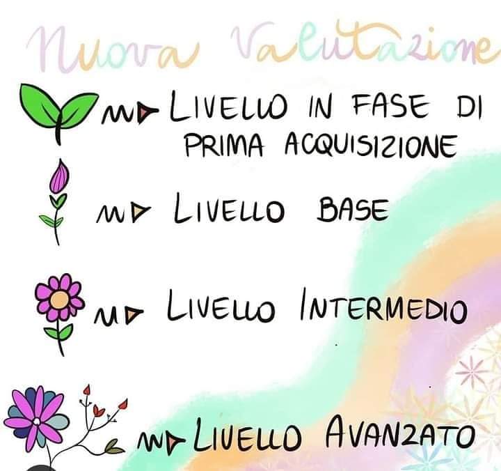 WhatsApp Image 2021 01 27 at 09.33.11